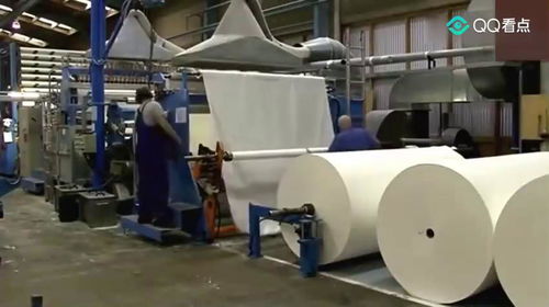 原來(lái)衛(wèi)生紙是這樣制造的,看見原材料,以后再也不敢亂用衛(wèi)生紙了